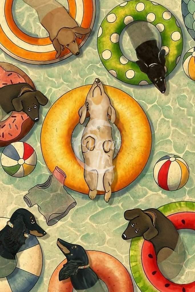 Dog vacation