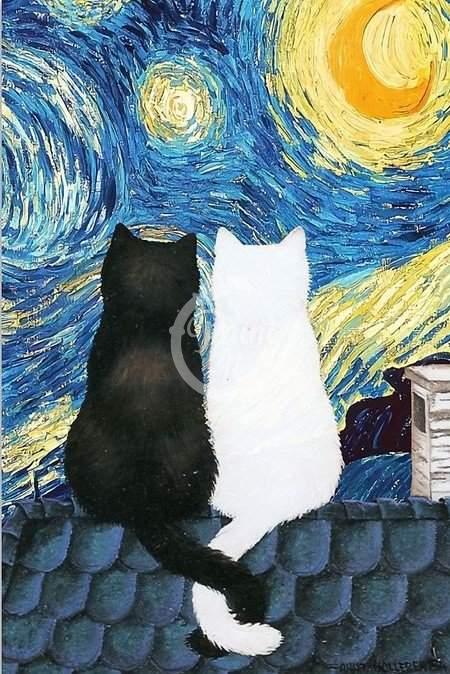 Cats during the starry night