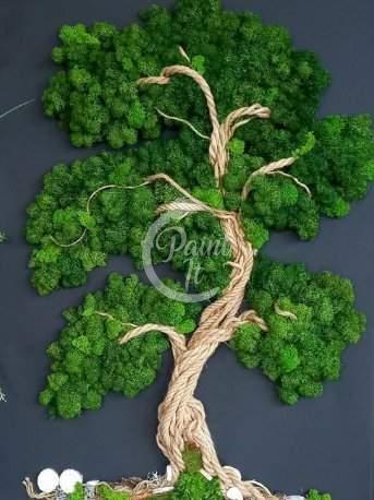 Tree of Life - Moss Picture workshop